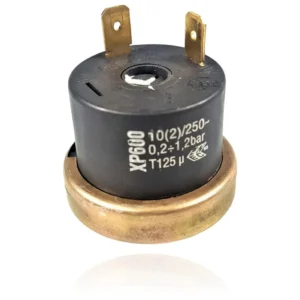 Presostato de Agua Roca Laura 20/20 F