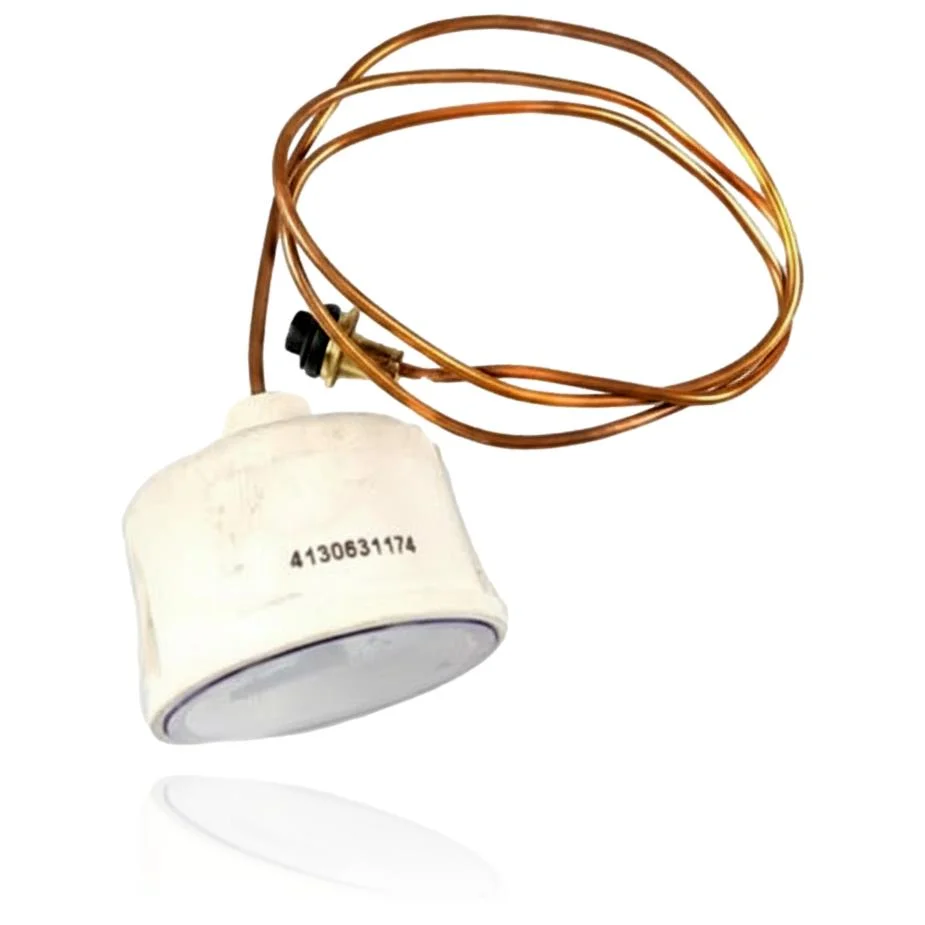 Manómetro de Presión Biasi M95.24CM/BD - Imagen 2