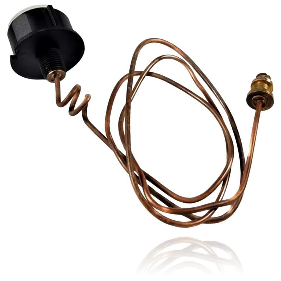 Manómetro de Presión Elexia Comfort 24 CF - Imagen 2