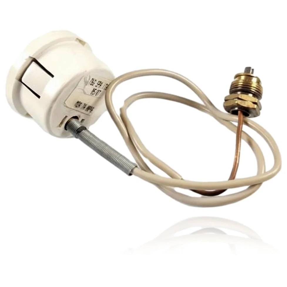 Manómetro de Presión Caldera Micra 2 30 SE - Imagen 2