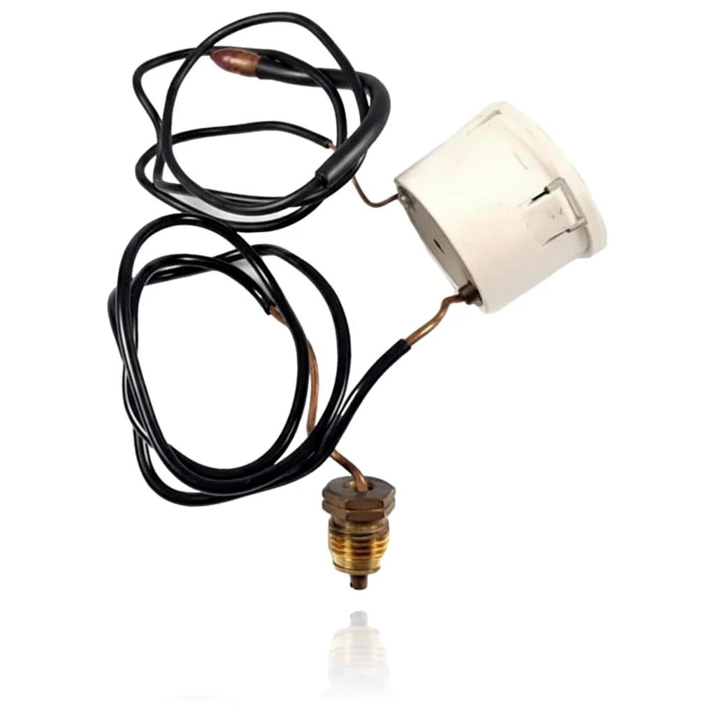 Manómetro de Presión y Temperatura Sauber CTFS 24 F - Imagen 2