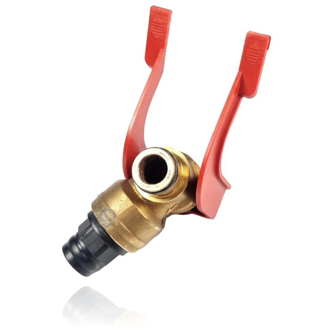 Válvula de Sobrepresion Euromaxx ZWC24-MF2A 23