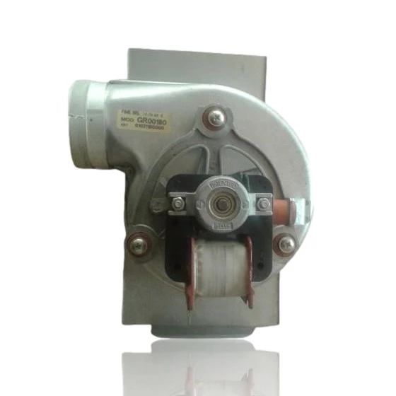 Extractor De Gas GR00180 Para Caldera Basic 23 MFFI Y Modelos Compatibles